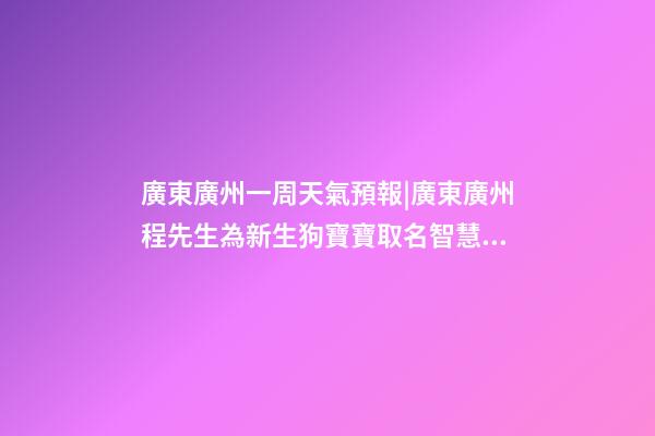 廣東廣州一周天氣預報|廣東廣州程先生為新生狗寶寶取名智慧型套餐-第1張-公司起名-玄機派
